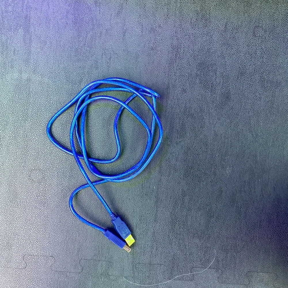 Blue USB Charging Cable